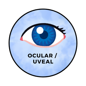 Ocular